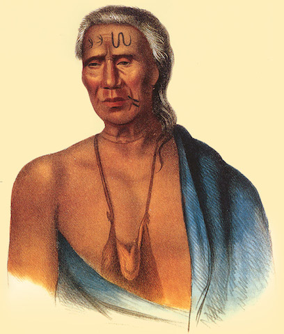 Chief
                                    Lapowinsa