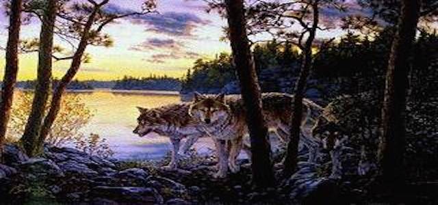 Wolves at
                          Twilight